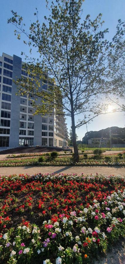 Evropa Hotel Gagra Exterior photo